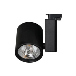 30W Led Karya Ray Spot Siyah 6500K