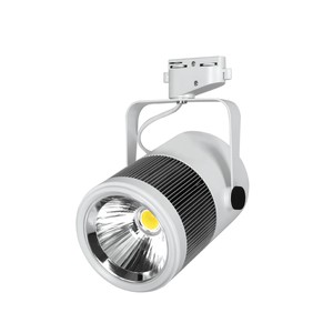 30W Led Maran Ray Spot Beyaz 6500K