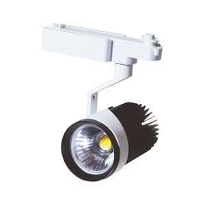 20W Led Ray Spot 3000K