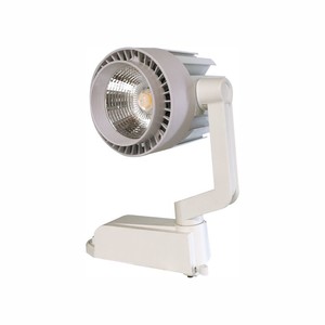 30W Led Zeta Ray Spot Beyaz 3000K