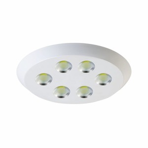 30W Led Oval Sıva Üstü Armatür 6500K